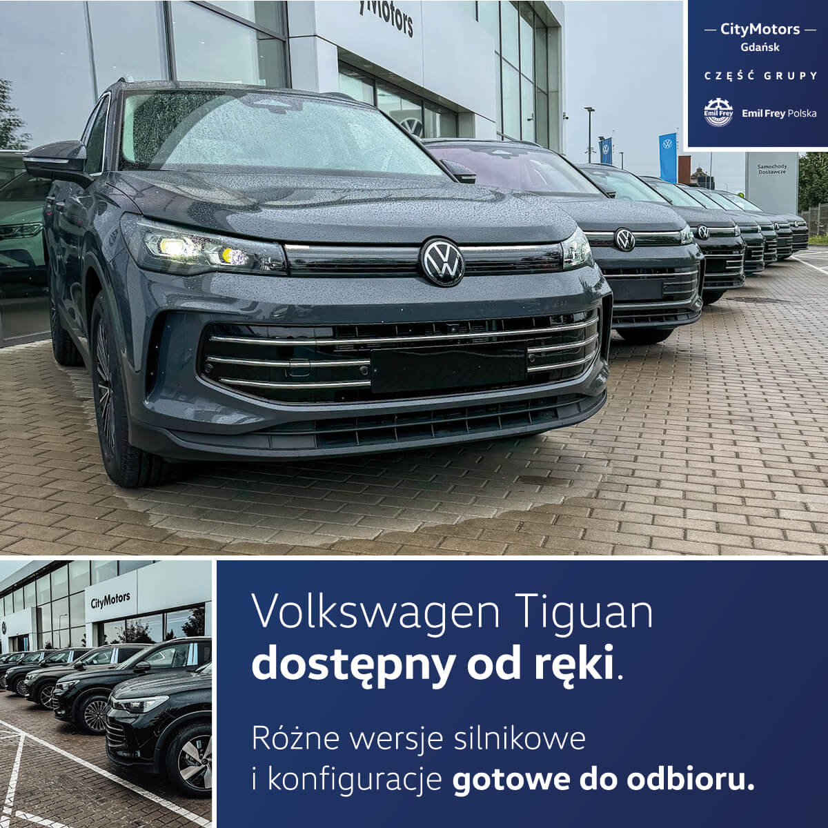 Tiguany dostępne od ręki